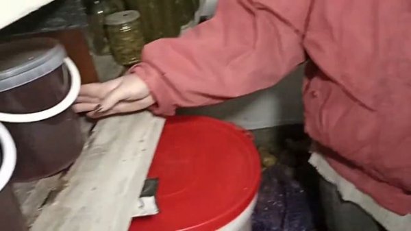 Обзор нашего погреба