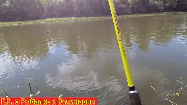 Вот это ОТЛОВИЛСЯ на реке Кинель в Самарской области, ловил ЛЕЩЕЙ и ПОДЛЕЩИКОВ на  ДОНКИ. смотреть онлайн