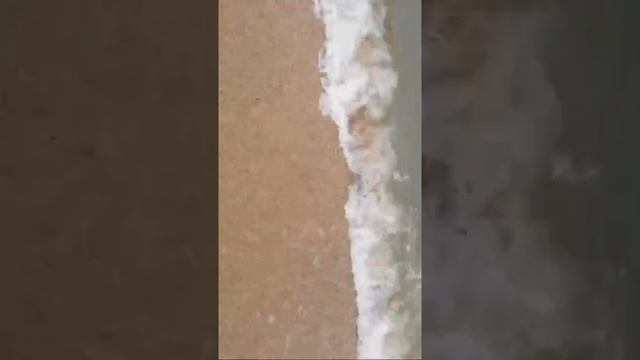 Море.mp4