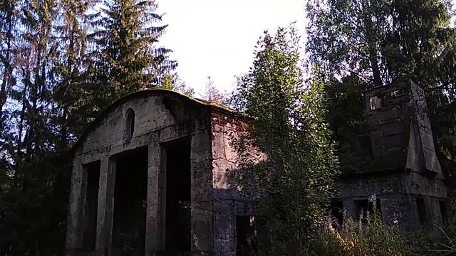 Город Санкт-Петербург им.Бобочино пос.Поляны(стар.назв.Церковная деревня(Мозjгопи))Россия2021(7530) смотреть онлайн