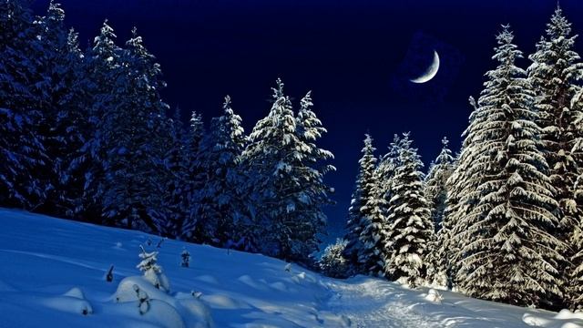 Картинка зима. Снег, ночь, ели, ёлки, месяц. смотреть онлайн