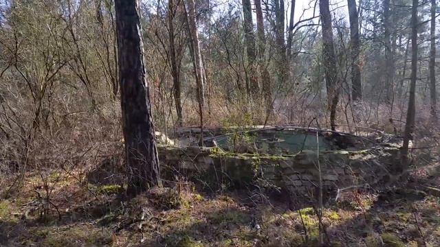 Фонтан у здания столовой и в/ч02856,01010 31.03.2021 смотреть онлайн