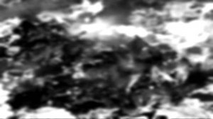 Брошенная в лесу сигарета   угроза пожара