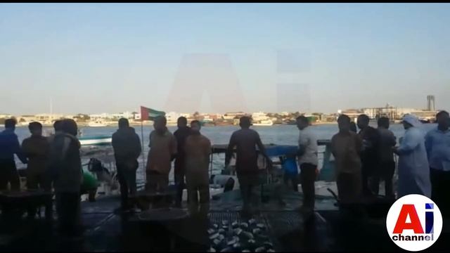 Fish market UAE Ajman смотреть онлайн