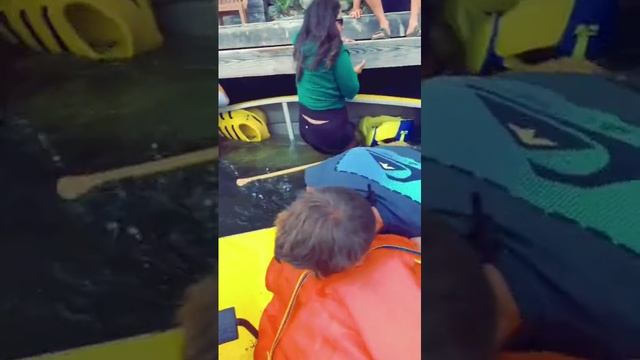 ну что как поплавали смотреть онлайн