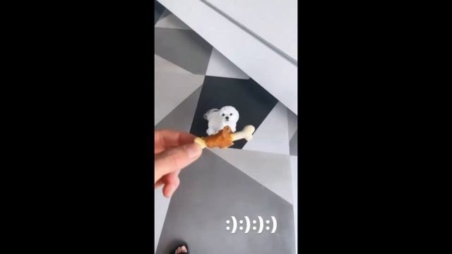 Домашние животные Влада А4 смотреть онлайн