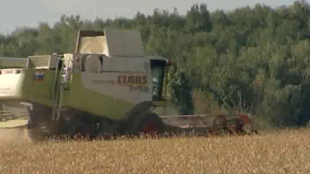 МЯТА. Выпуск 94. От 22.08.14. Часть 1