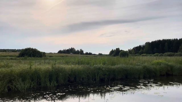 Прогулка на SUP по реке Кубань под Костромой смотреть онлайн