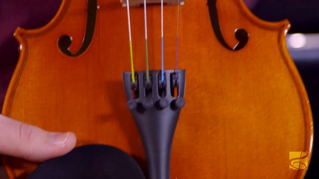 Strobel Student Series Model 100 Violin смотреть онлайн