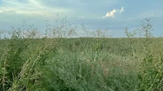 «День весенний нам светил ярким солнечным лучом» - Кирилл Нефтерев смотреть онлайн