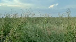 «День весенний нам светил ярким солнечным лучом» - Кирилл Нефтерев