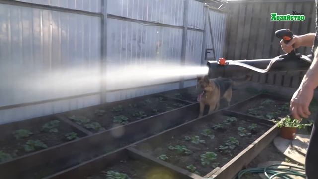 Опрыскиватель STIHL SR 430. Экономим силы и время.