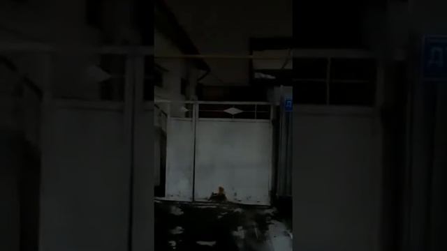 6 марта 2020 г. смотреть онлайн