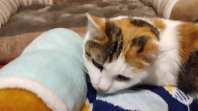 Этюд "Тихий час в детском саду" смотреть онлайн