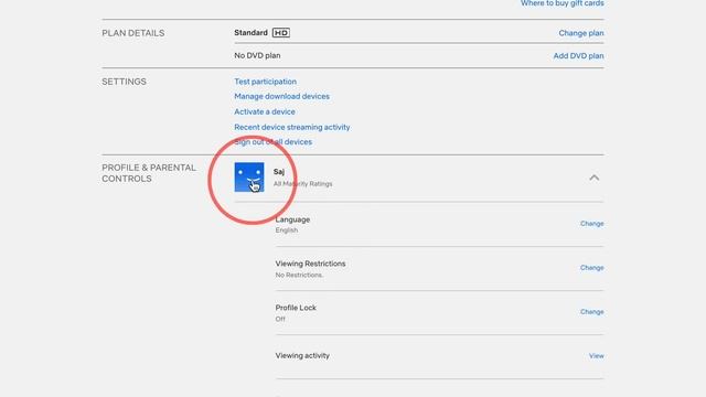 How to LOCK Netflix Profile with a PIN смотреть онлайн