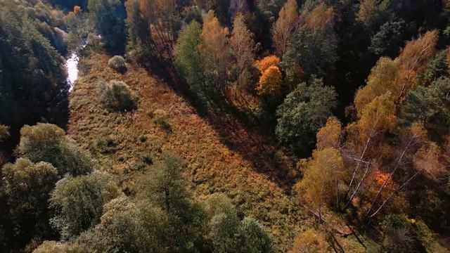 Подмосковье, осень, видео с дрона | DJI Mavic Air 2 4K footage смотреть онлайн