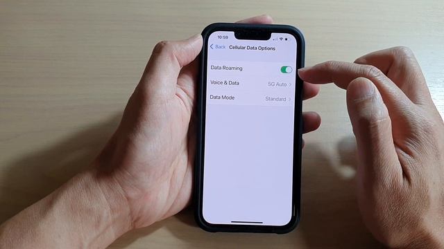 iPhone 13/13 Pro: How to Turn On/Off Cellular Data Roaming смотреть онлайн