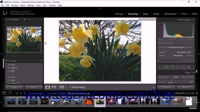 Lightroom Classic CC Tutorial Calibrating a Monitor and Installing Color Profiles Adobe Training смотреть онлайн