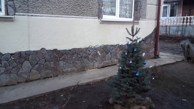 ялина блакитна за 100$ смотреть онлайн