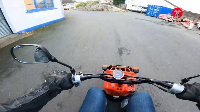 Exploring the 2008 Honda Zoomer 50 | Ultimate Scooter Experience! смотреть онлайн