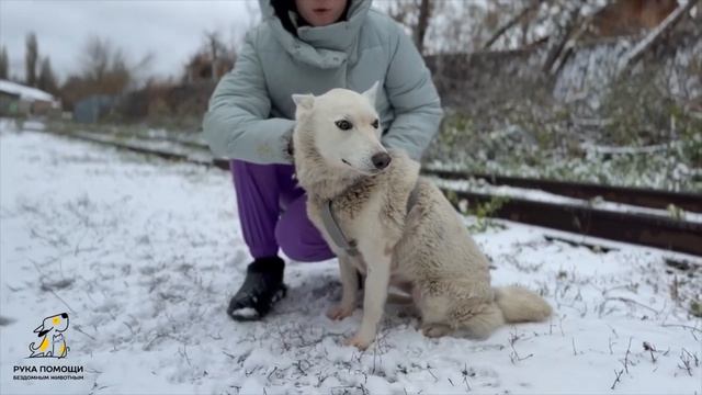 Преображения Линдси! Помочь https://pitomec58.com/donate смотреть онлайн