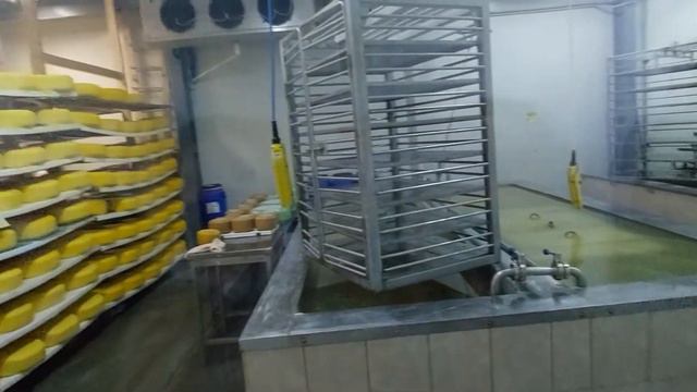 "Мукко" козиная ферма. Дегустация сыра. смотреть онлайн