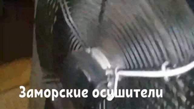 Стирка ковров Петропавловск смотреть онлайн