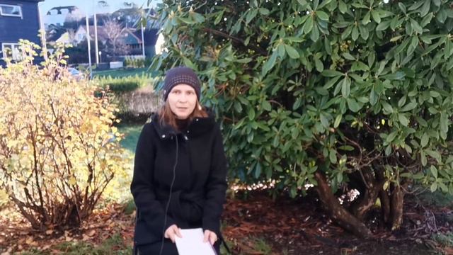 Отзыв на видео Антона Птушкина о Норвегии смотреть онлайн