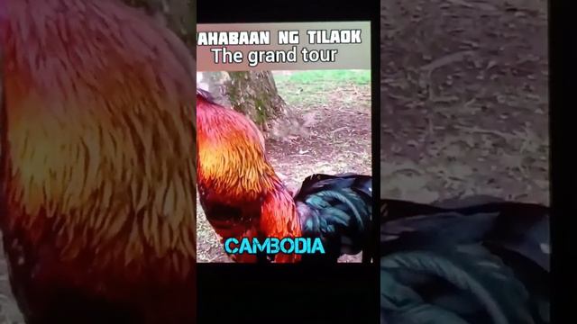 pahabaan Ng tilaok The grand tour смотреть онлайн
