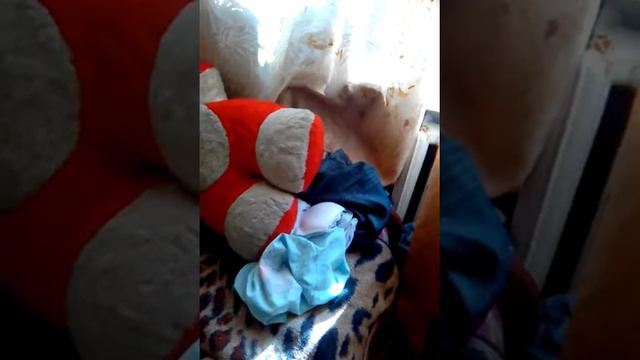 Как живут люди, и как жить рядом с ними? смотреть онлайн