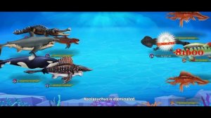 DINO WATER WORLD | UNLOCKING 4 STAR WOBBEGONG DINO
