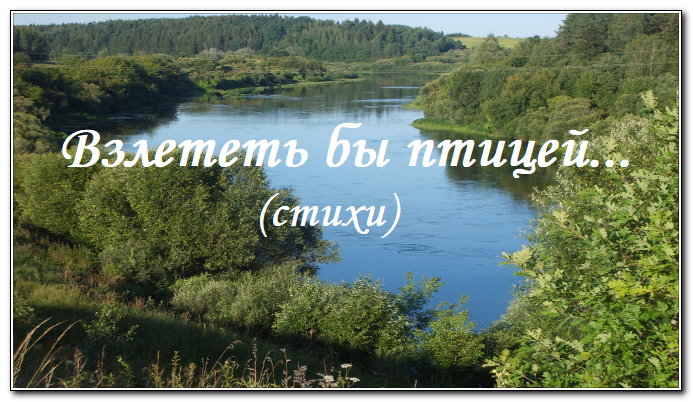 Стихи/ "Взлететь бы птицей"