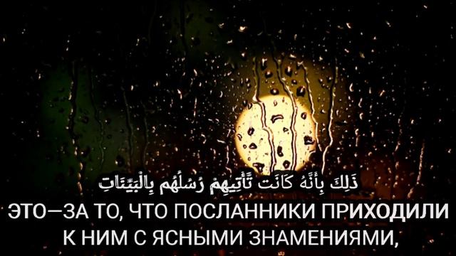 Шейх Салах Бухатир сура Ат-Тагабун (Взаимное обделение) 4-7 аят смотреть онлайн