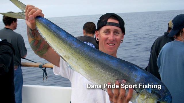 Dana Pride 95 ft. - 100 passengers смотреть онлайн