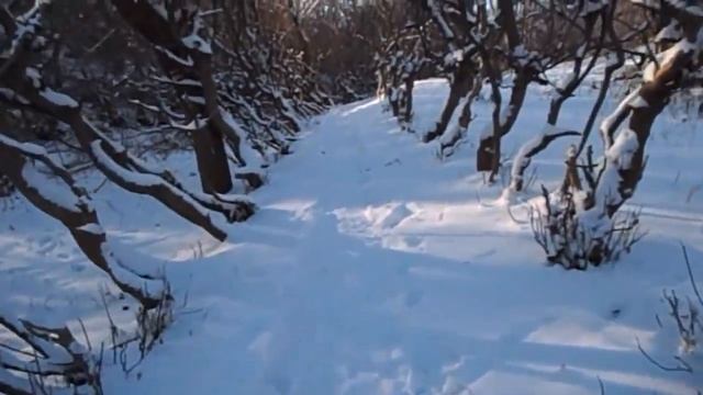 САМВЕЛА ОДОЛЕЛИ ПОПРОШАЙКИ. ПОЧЕМУ ПОСТРАДАЛА ГУЛЬНАЗ