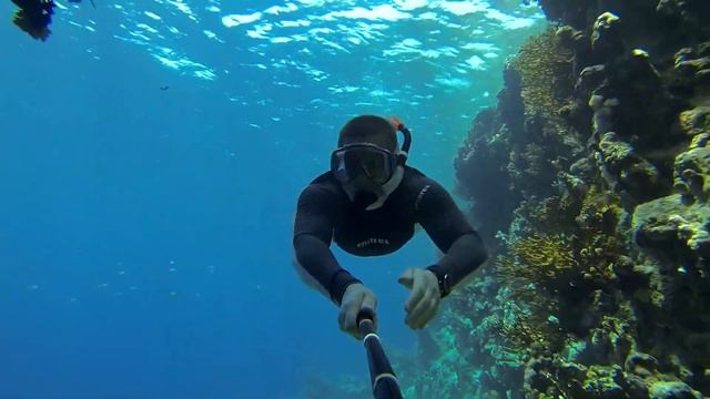 Reef off the hotel Grand Rotana Egypt. Snorkelling.Red Sea. смотреть онлайн