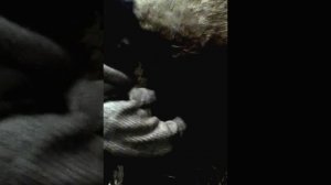 Доильный аппарат МДУ-2