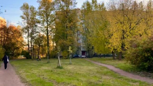 Вот такая прекрасная золотая осень пошли прогуляться дневная прогулка всем доброго дня 30.10+2 смотреть онлайн