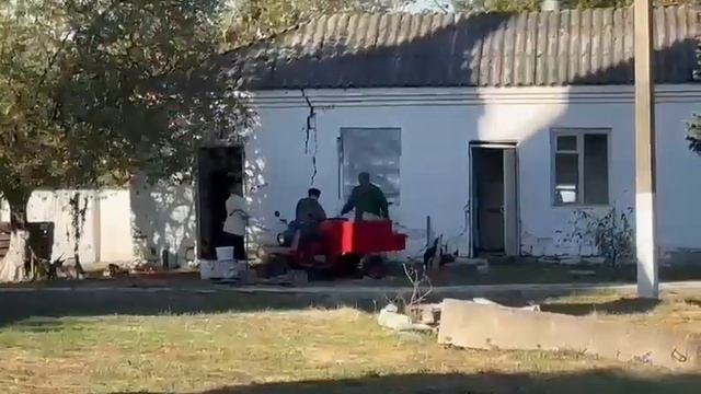 заготовка дров