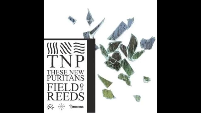 These New Puritans - Field Of Reeds (Full Album)