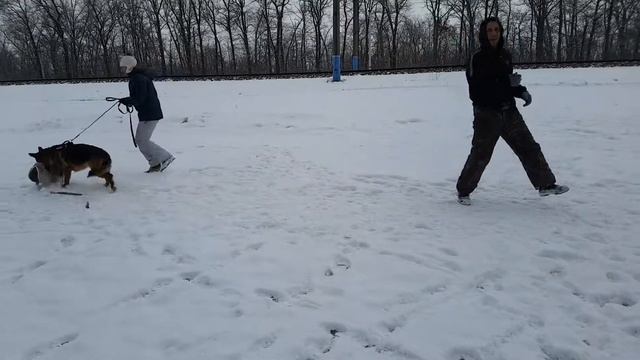Баларис Керчь( Мичиган Примо Гранде и Баларис Мицубиси) 14 мес(6) смотреть онлайн