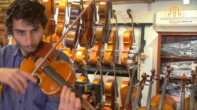 Violin, Made By Barbara Piccinotti In Cremona, Italy 2015