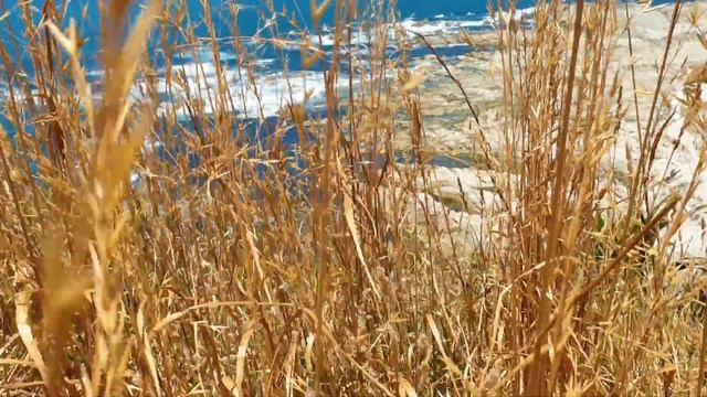 Один день в Каикоура, Южный Остров Новой Зеландии 4K / Kaikoura South Island NEW ZEALAND 4K смотреть онлайн