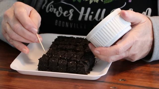 Cool Flowers Seed Starting Session with My Mom : Flower Hill Farm смотреть онлайн