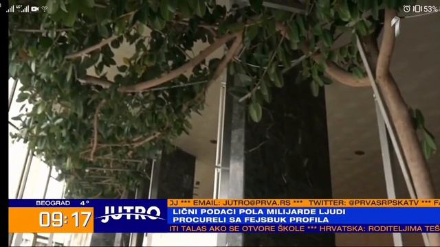 Prva Tv - Najveći fikus na Balkanu raste u čačanskom Domu kulture смотреть онлайн