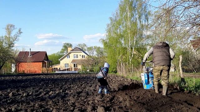 Мотоблок Нева МБ 23 мультиагро Yamaha MX300 культивация легко 8 ФРЕЗ!!! смотреть онлайн