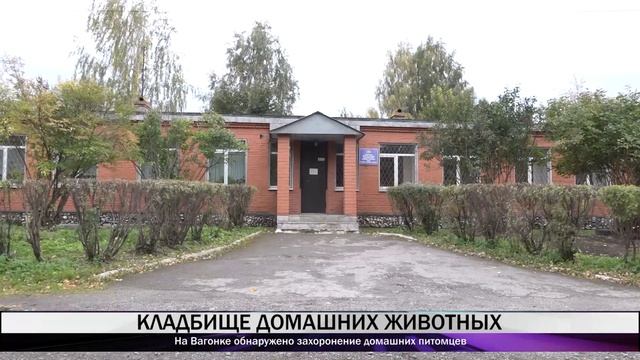 На Вагонке обнаружено захоронение домашних питомцев смотреть онлайн