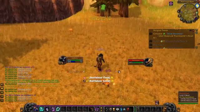 Classic WoW HC Druid Level 1 Death = Delete смотреть онлайн