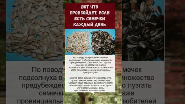 семечки...полезно знать... смотреть онлайн