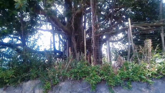 Порту Сегуру - старейший город Бразилии. 16.03.2021. Porto Seguro, Bahia.